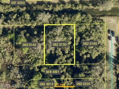 PID 10386953