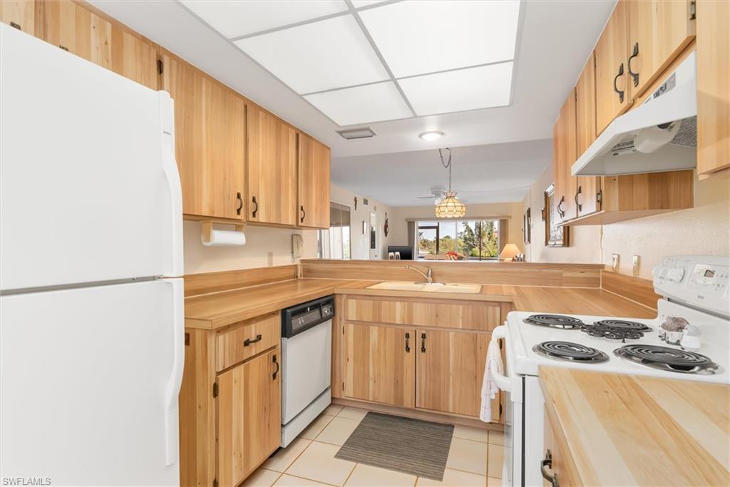 1344 Rock Dove CT D102