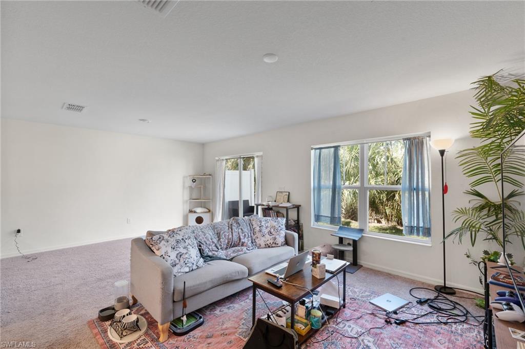 15121 Piping Plover CT 104