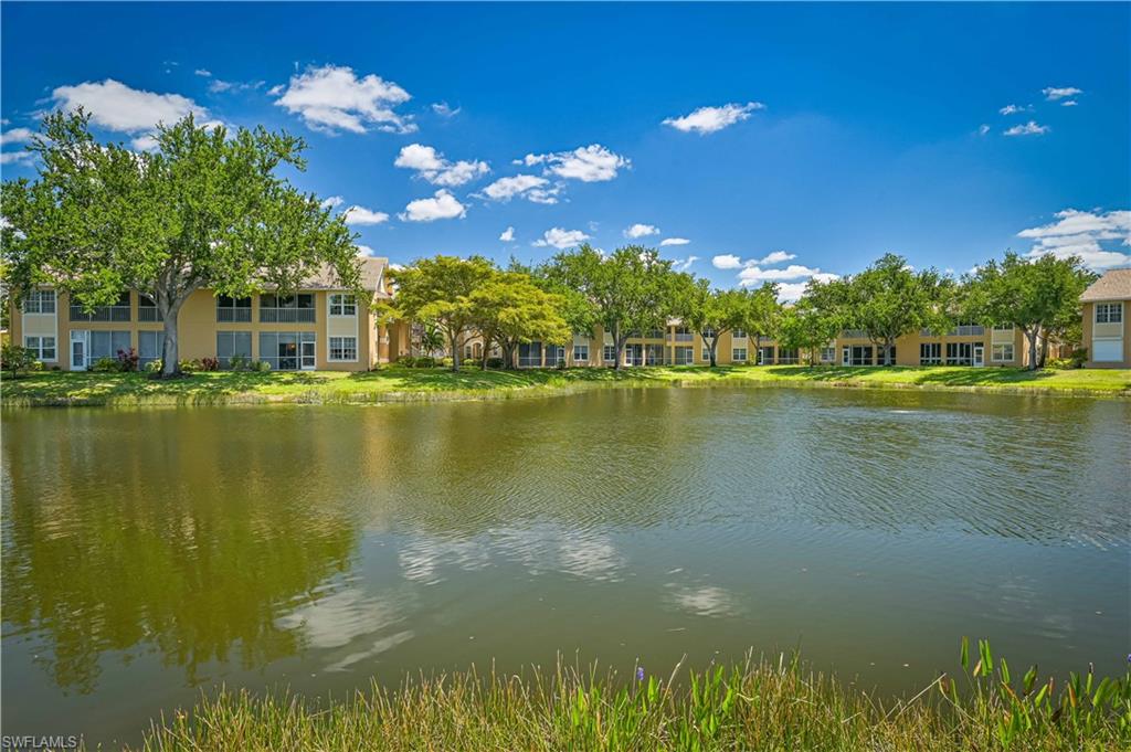 15041 Bridgeway LN 1006