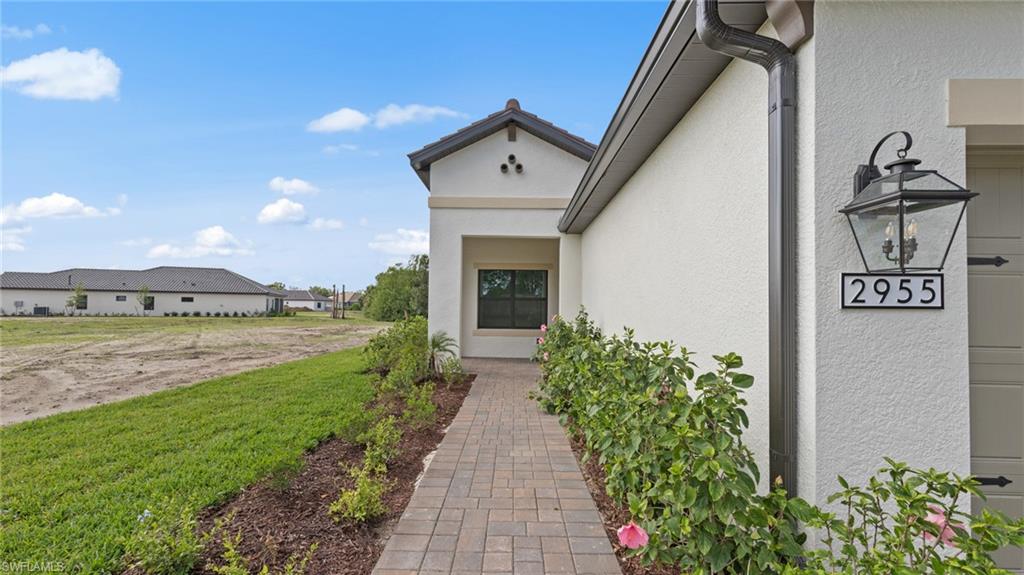 11544 Verandah Palm CT