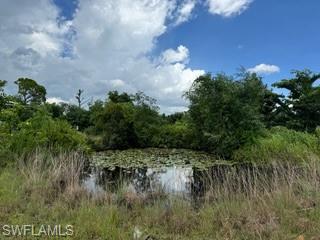 Island Ridge RD