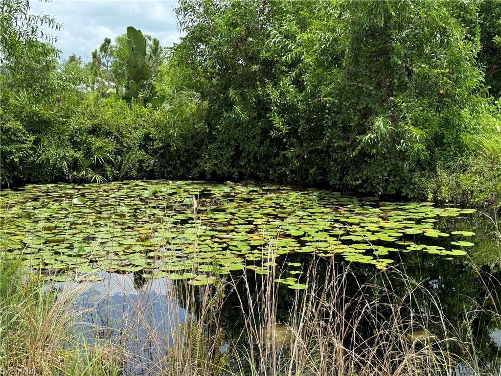 Island Ridge RD