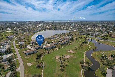 26386 Nadir RD 402 PUNTA GORDA FL 33983