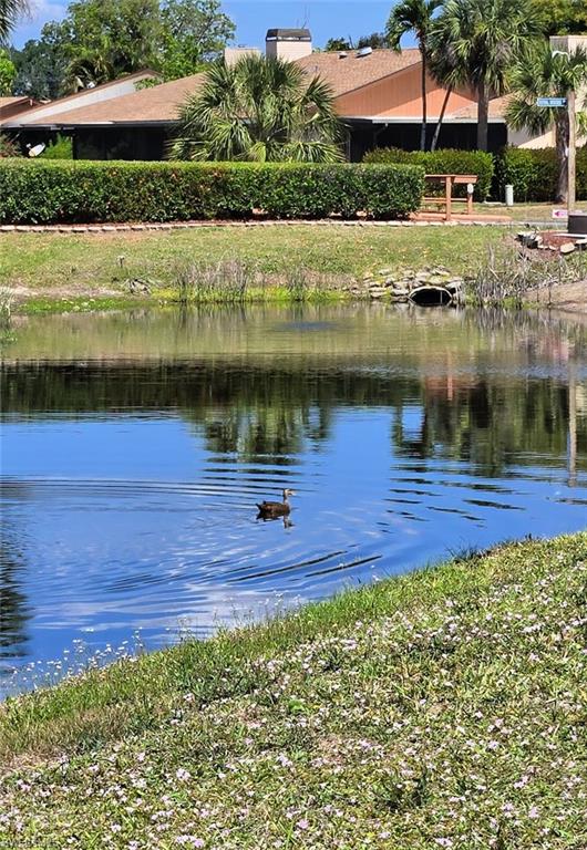 17422 Birchwood LN 2