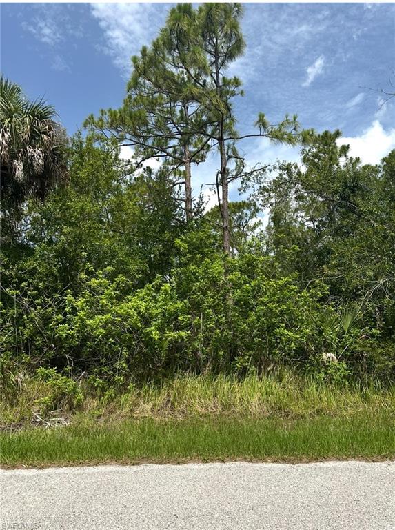 Punta Gorda, Florida 33980, United States, ,Land,Active,162162