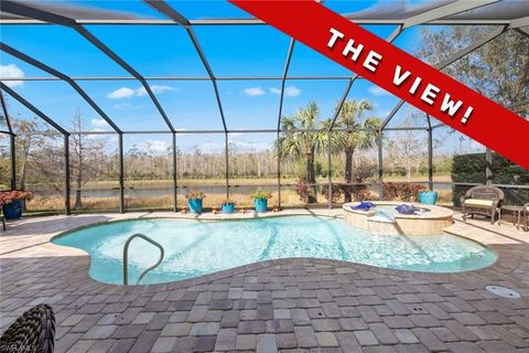 20410 Black Tree LN ESTERO FL 33928