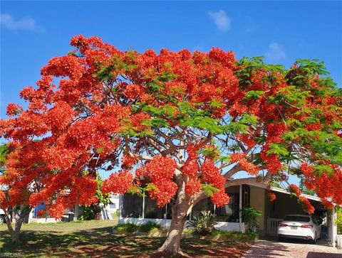 26257 Queen Mary LN BONITA SPRINGS FL 34135