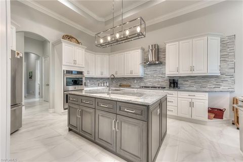 23084 Shady Knoll DR ESTERO FL 34135