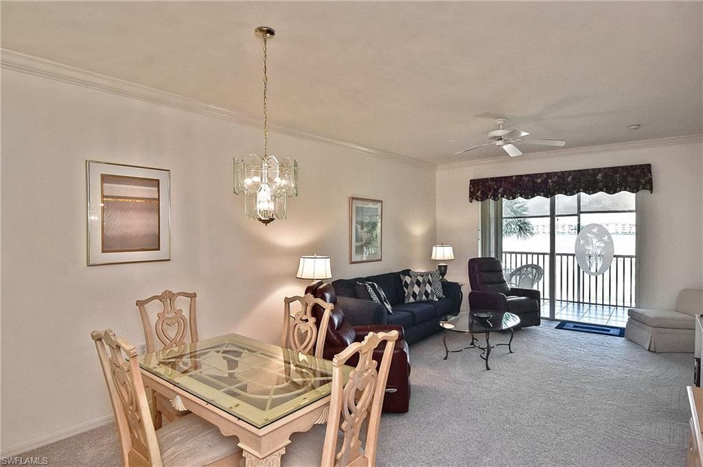 10350 Washingtonia Palm WAY 4234