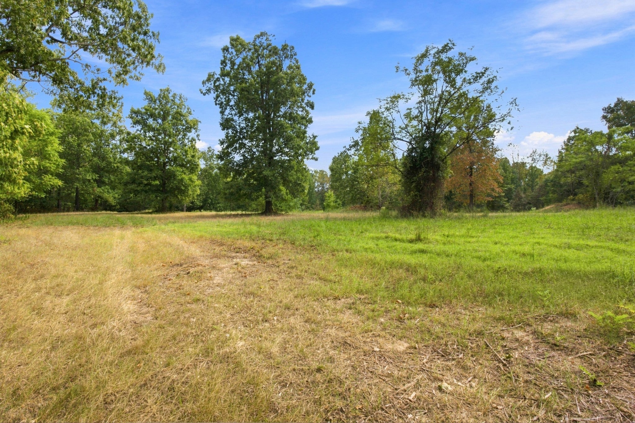 8218 Old Pond Creek Rd