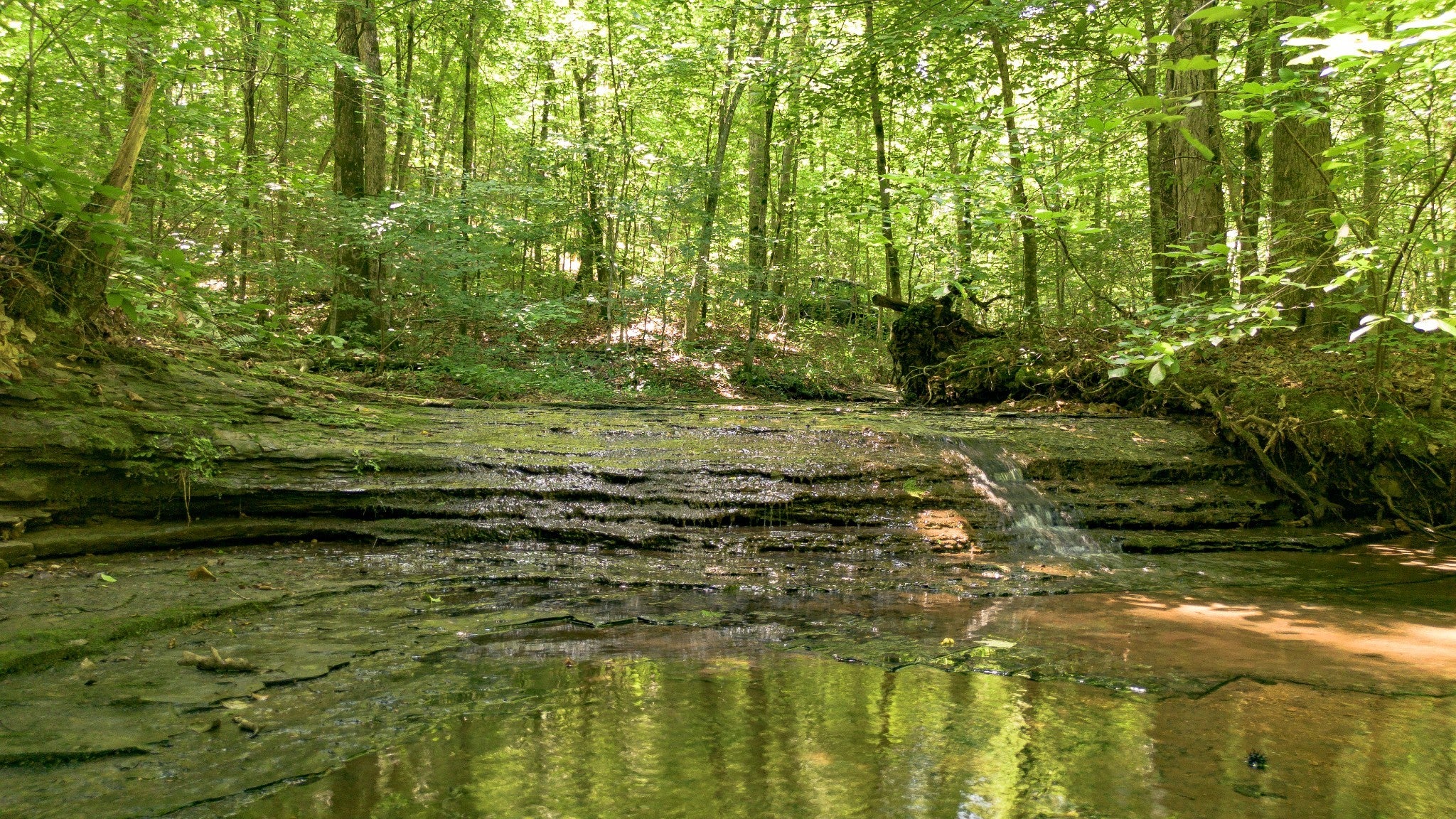 8218 Old Pond Creek Rd