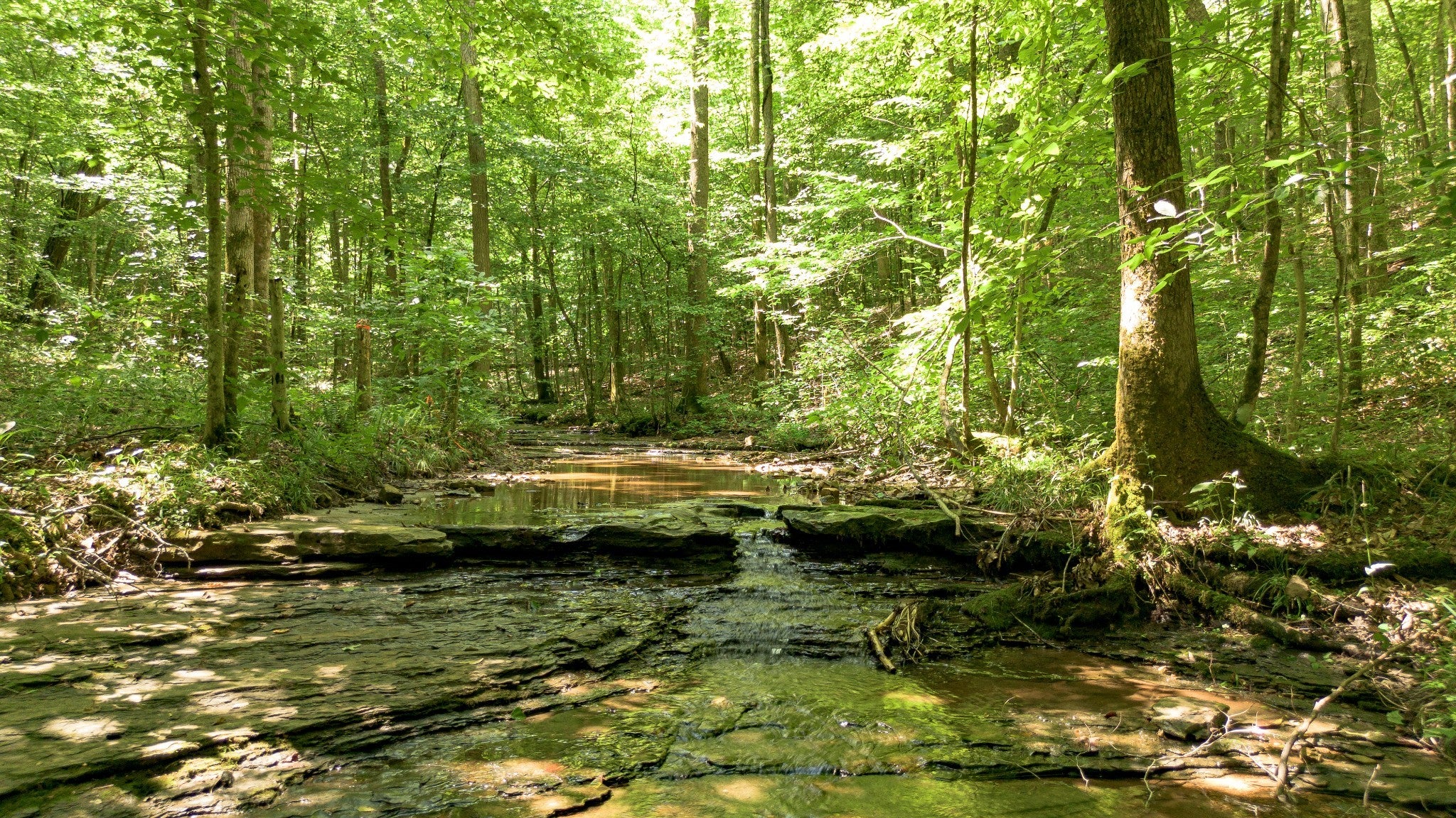 8218 Old Pond Creek Rd