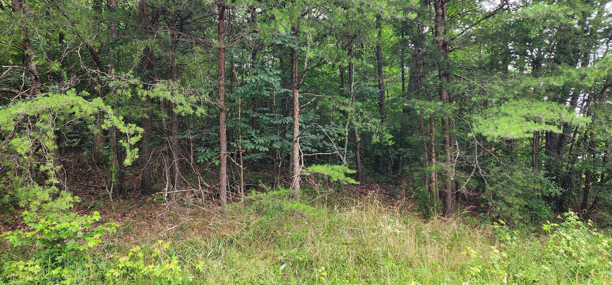 0 Sequatchie Mountain Rd