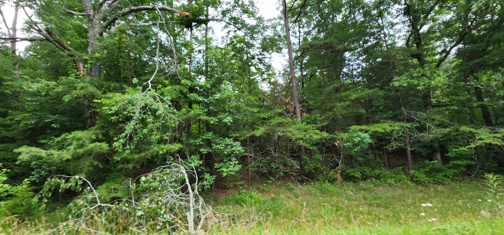 0 Sequatchie Mountain Rd