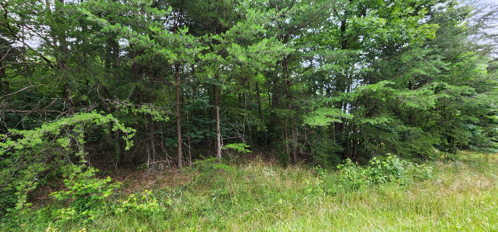 0 Sequatchie Mountain Rd
