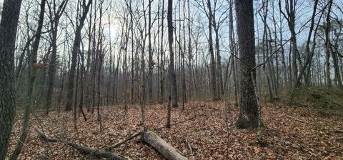 0 Hunziker Rd Tracy City TN 37387