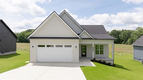 807 Oconner Smithville TN 37166