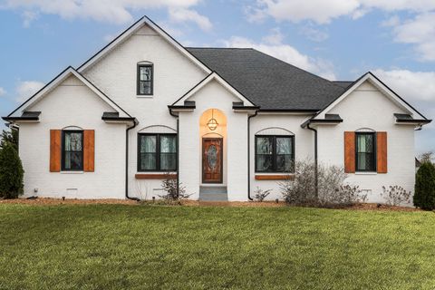 95 Old 25 Loop Castalian Springs TN 37031