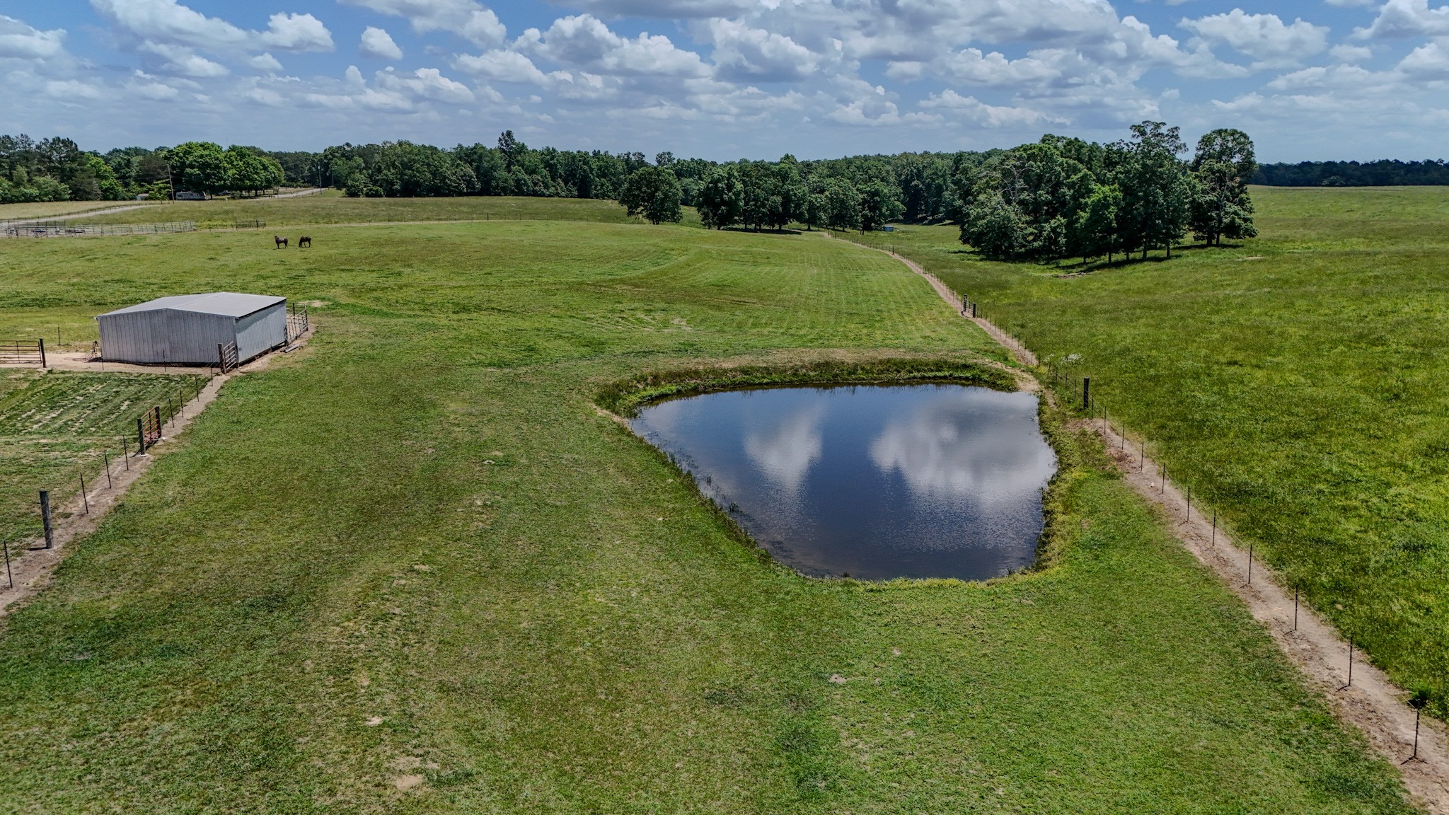 1198 David Patterson Rd