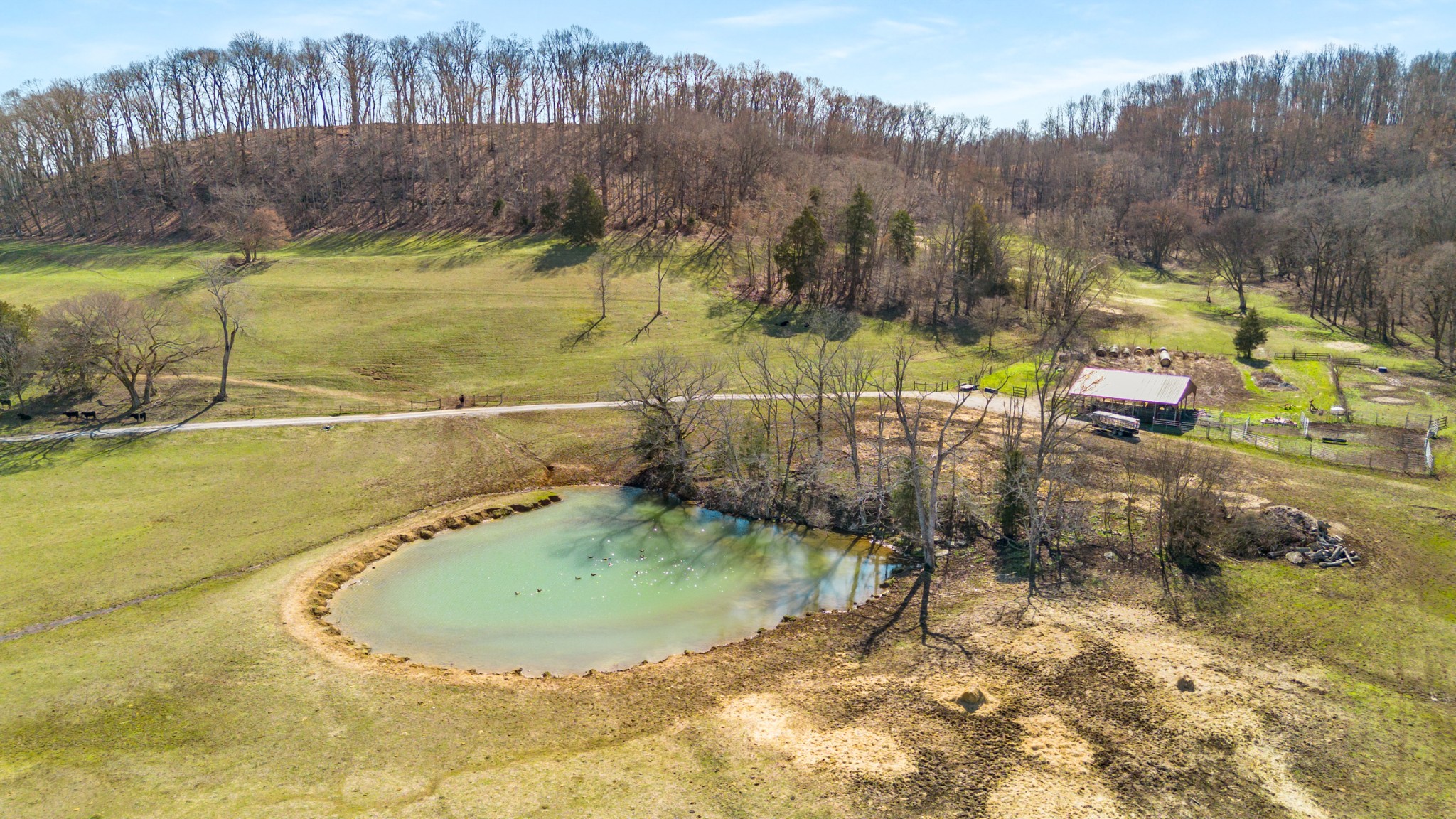 3317 Floyd Rd