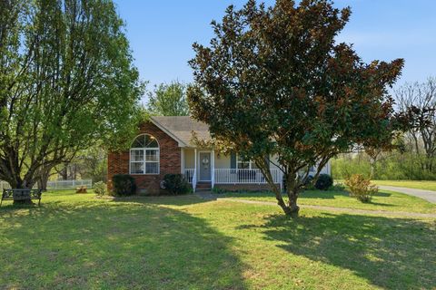 2006 Hunt Ct E Pleasant View TN 37146