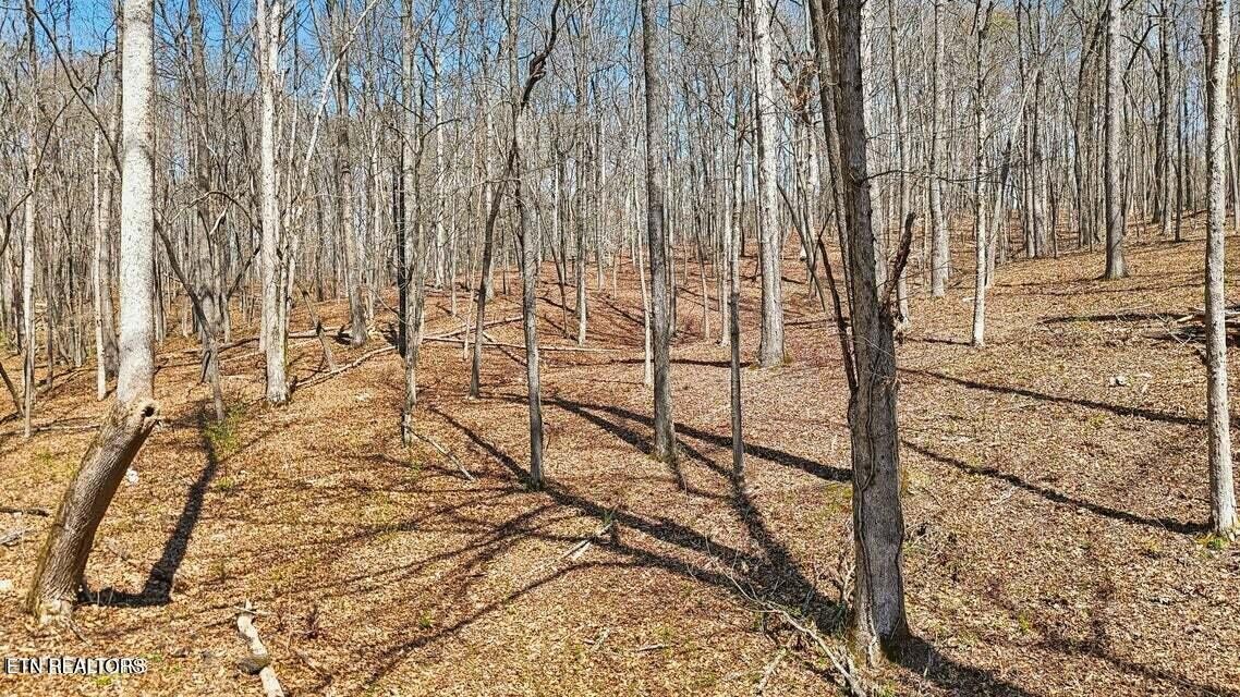 1300 Old Sugar Limb Rd