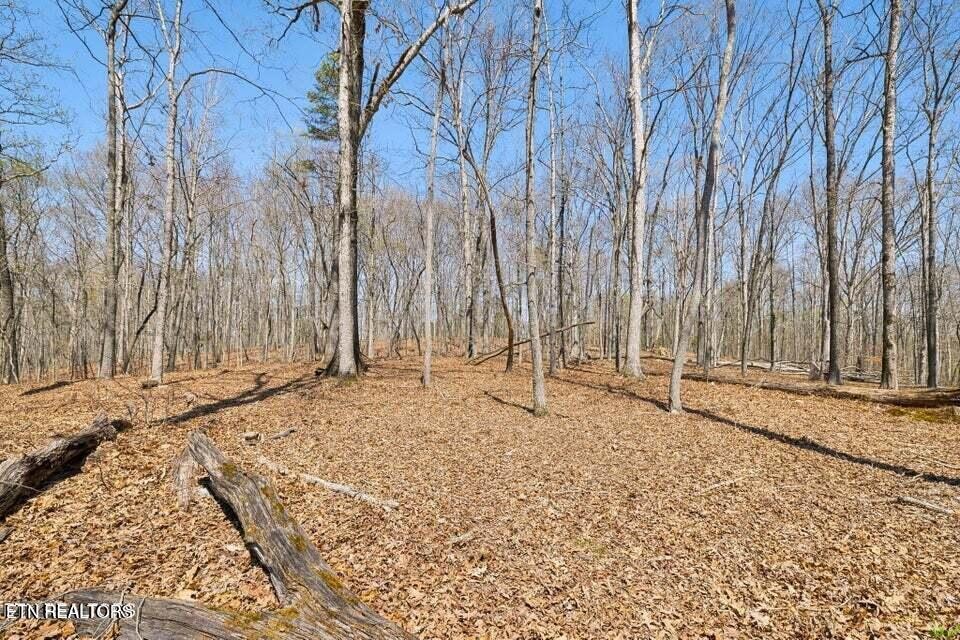 1300 Old Sugar Limb Rd