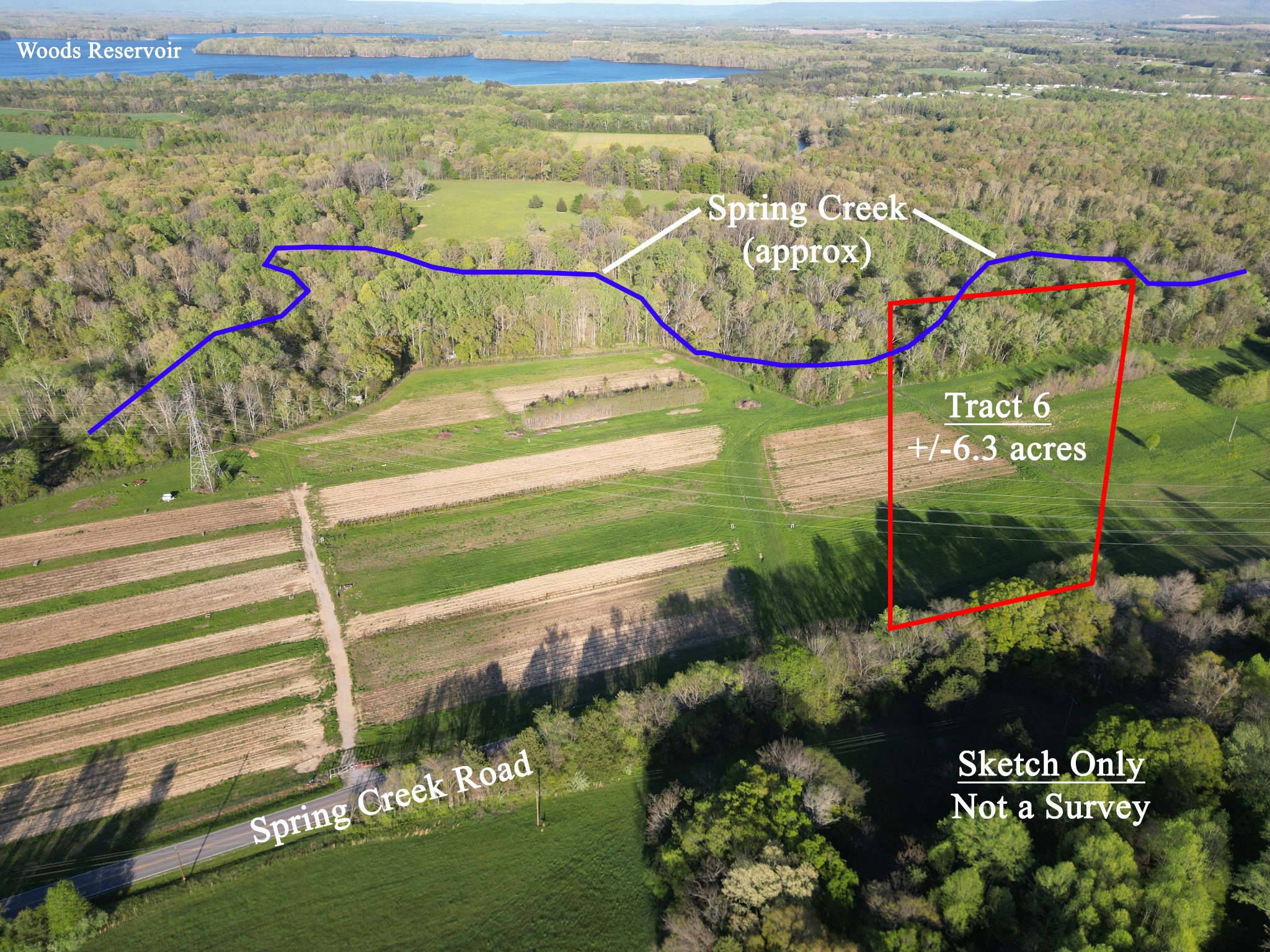 Listing image 6