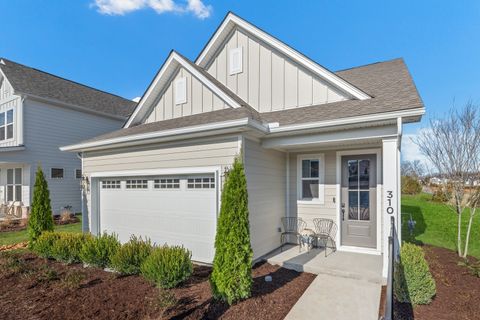 Photo of 341 Mammoth Trace, Smyrna, TN 37167 (MLS # 3168130)