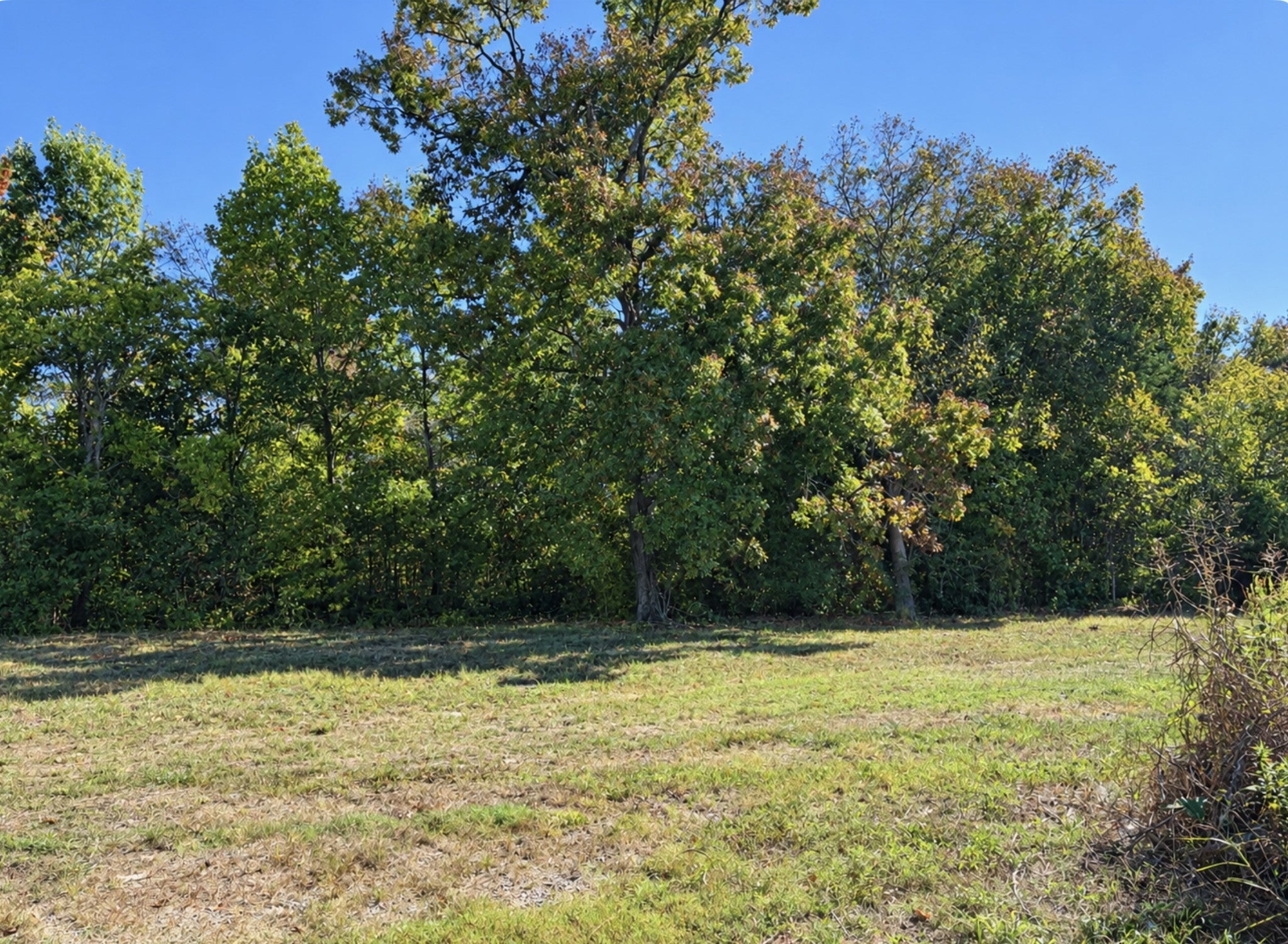 1132 Waller Rd