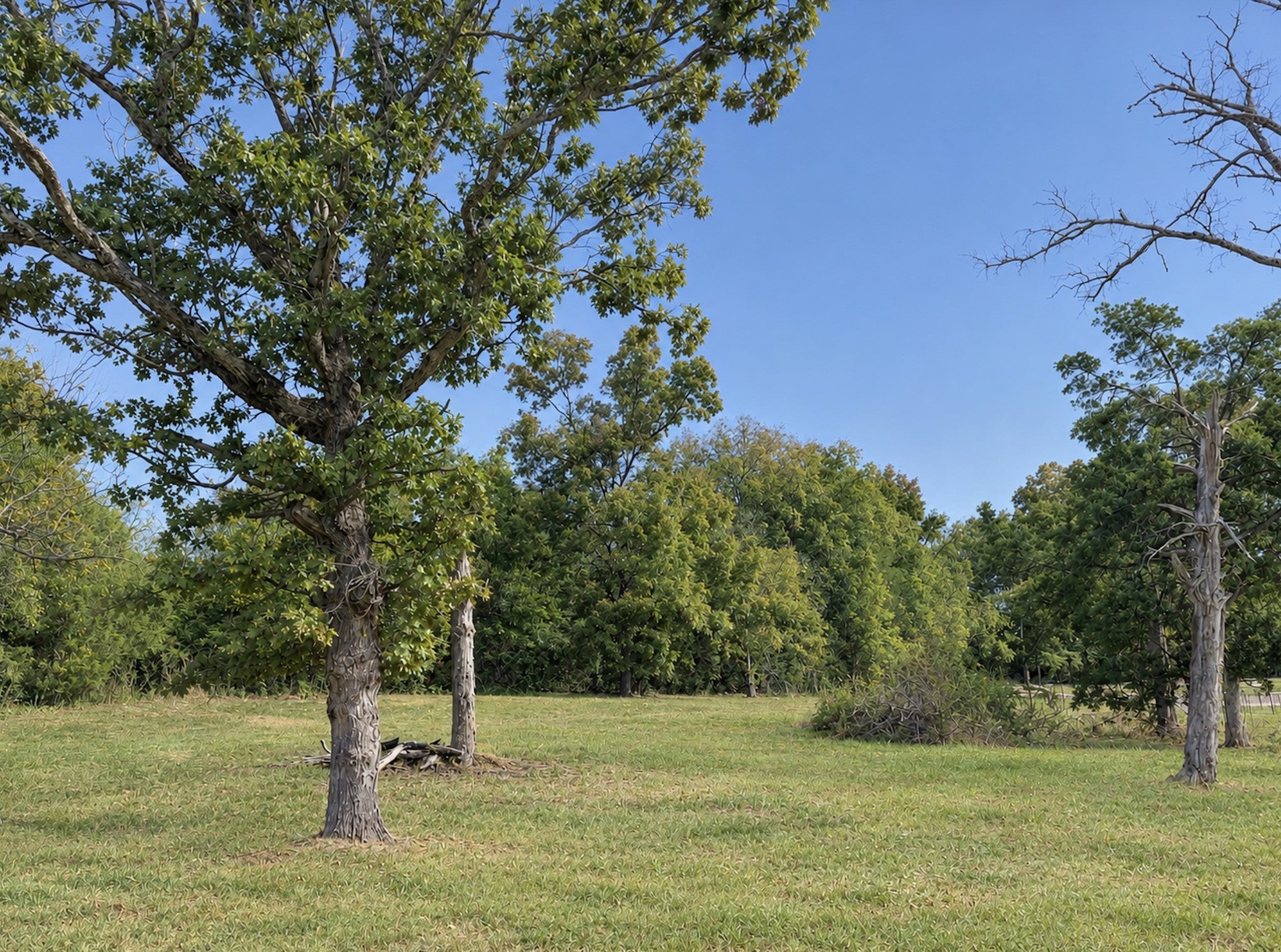 listing at 1132 Waller Rd, Brentwood