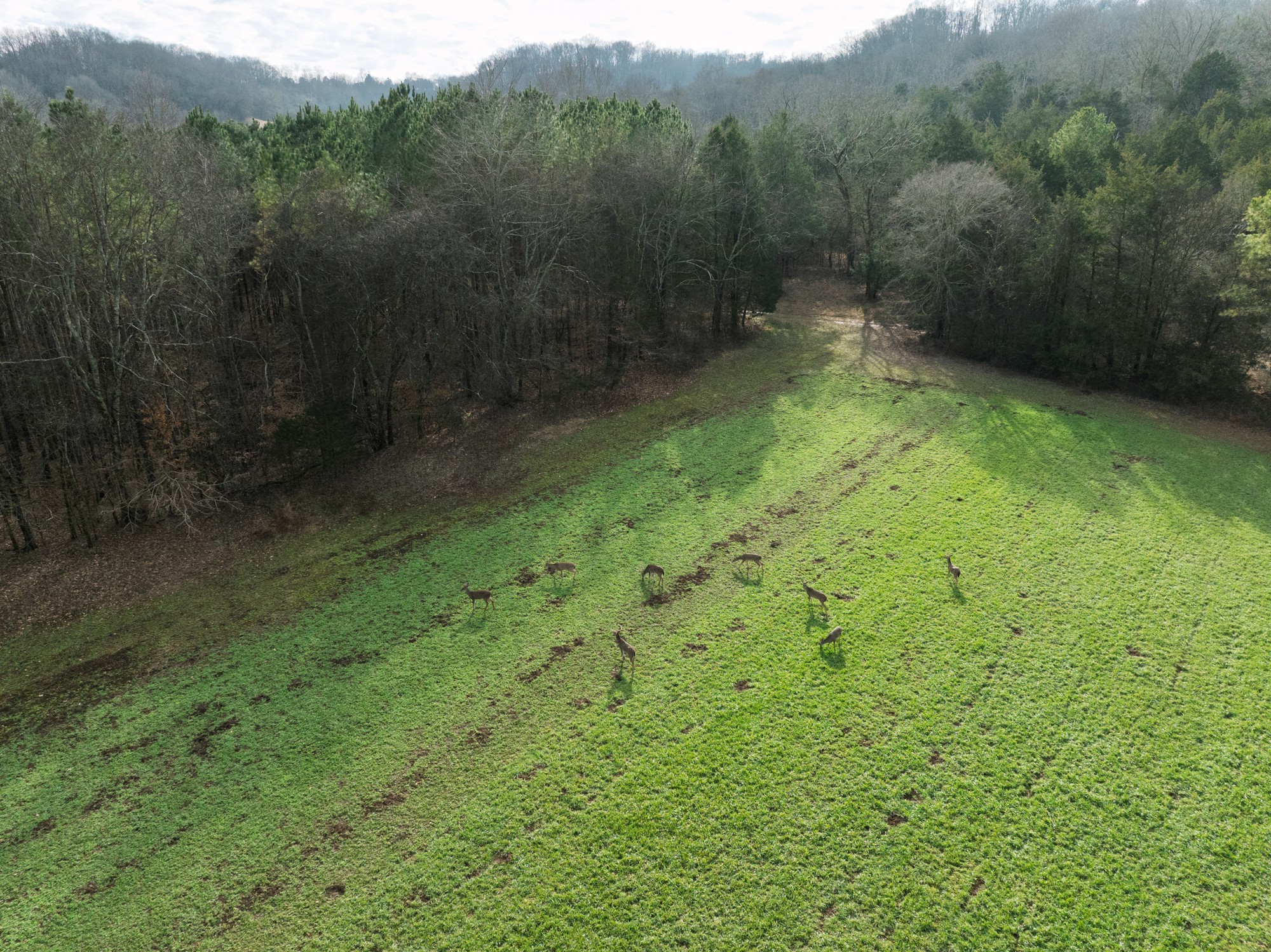 680 Morrell Road