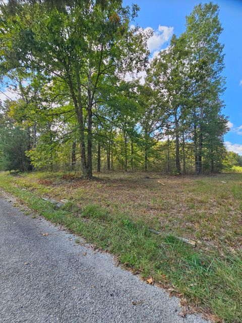 Photo of 212 Reed Rd, Summertown, TN 38483 (MLS # 3003600)