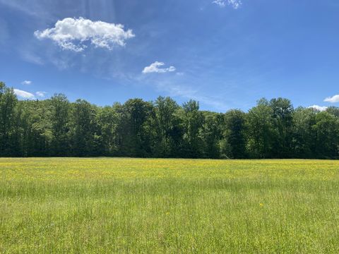 0 Lick Creek Rd Linden TN 37096