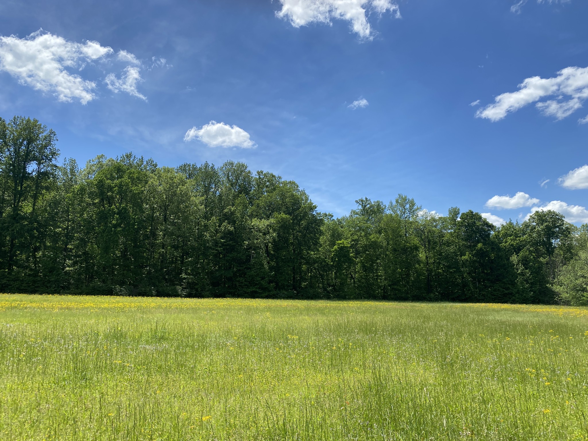 0 Lick Creek Rd