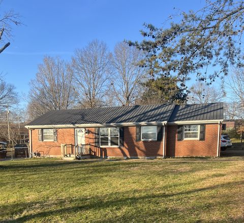 Photo of 120 Pleasant Dr, Columbia, TN 38401 (MLS # 3061854)