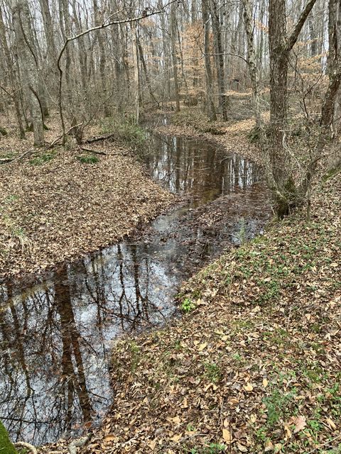 0 Hodge Rd Manchester TN 37355