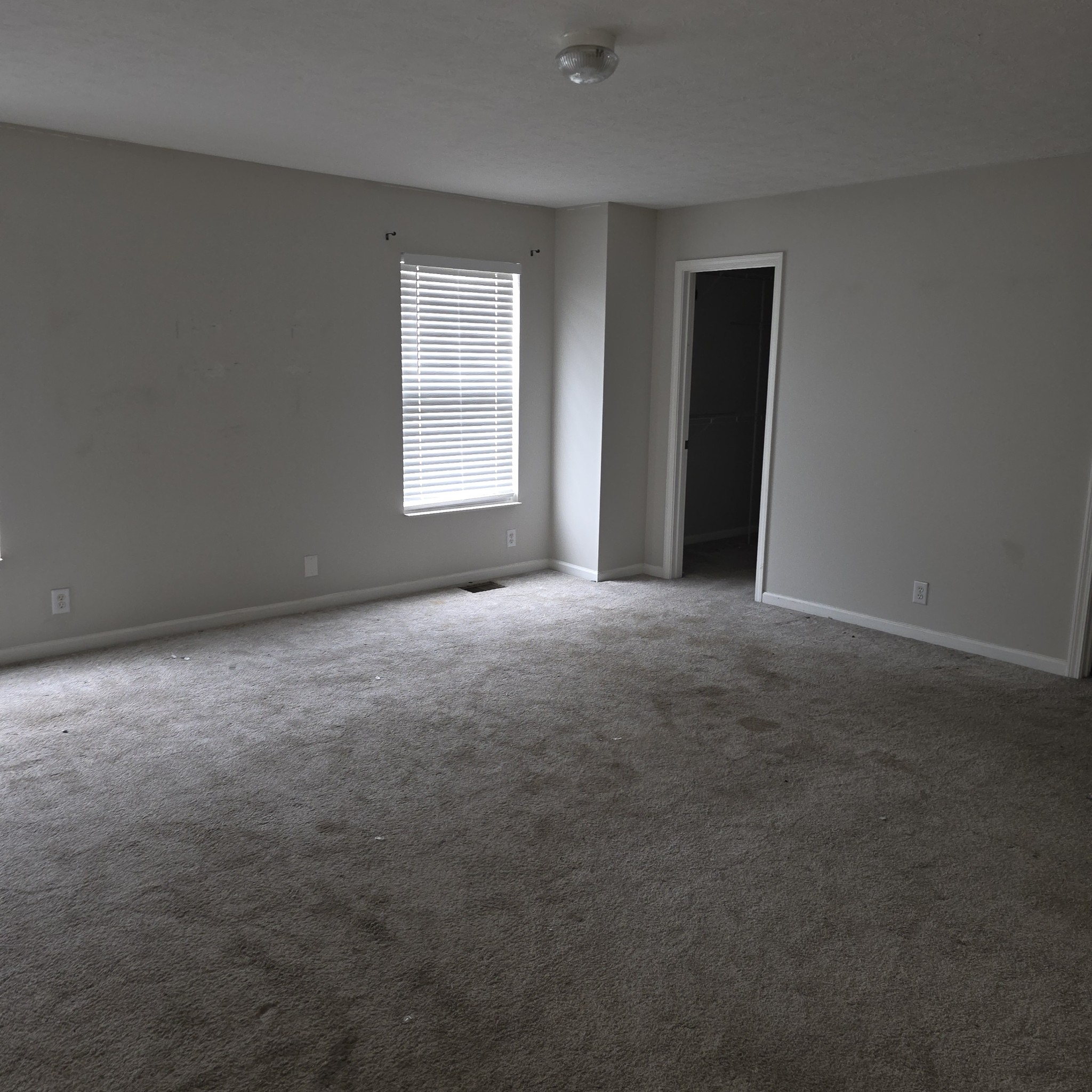 103 Trailing Blossom Ln