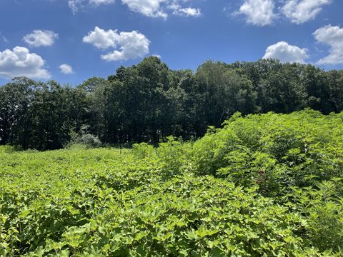 0 Hidden Hills Lane Summertown TN 38483