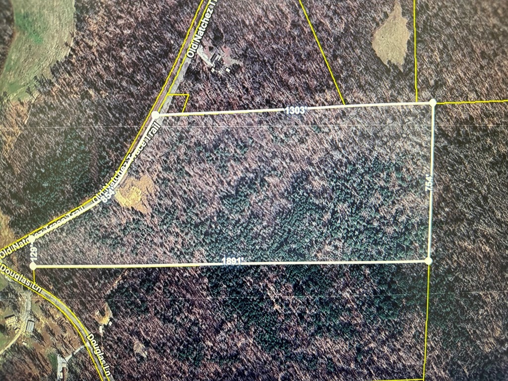 1295 Old Natchez Trace Trl