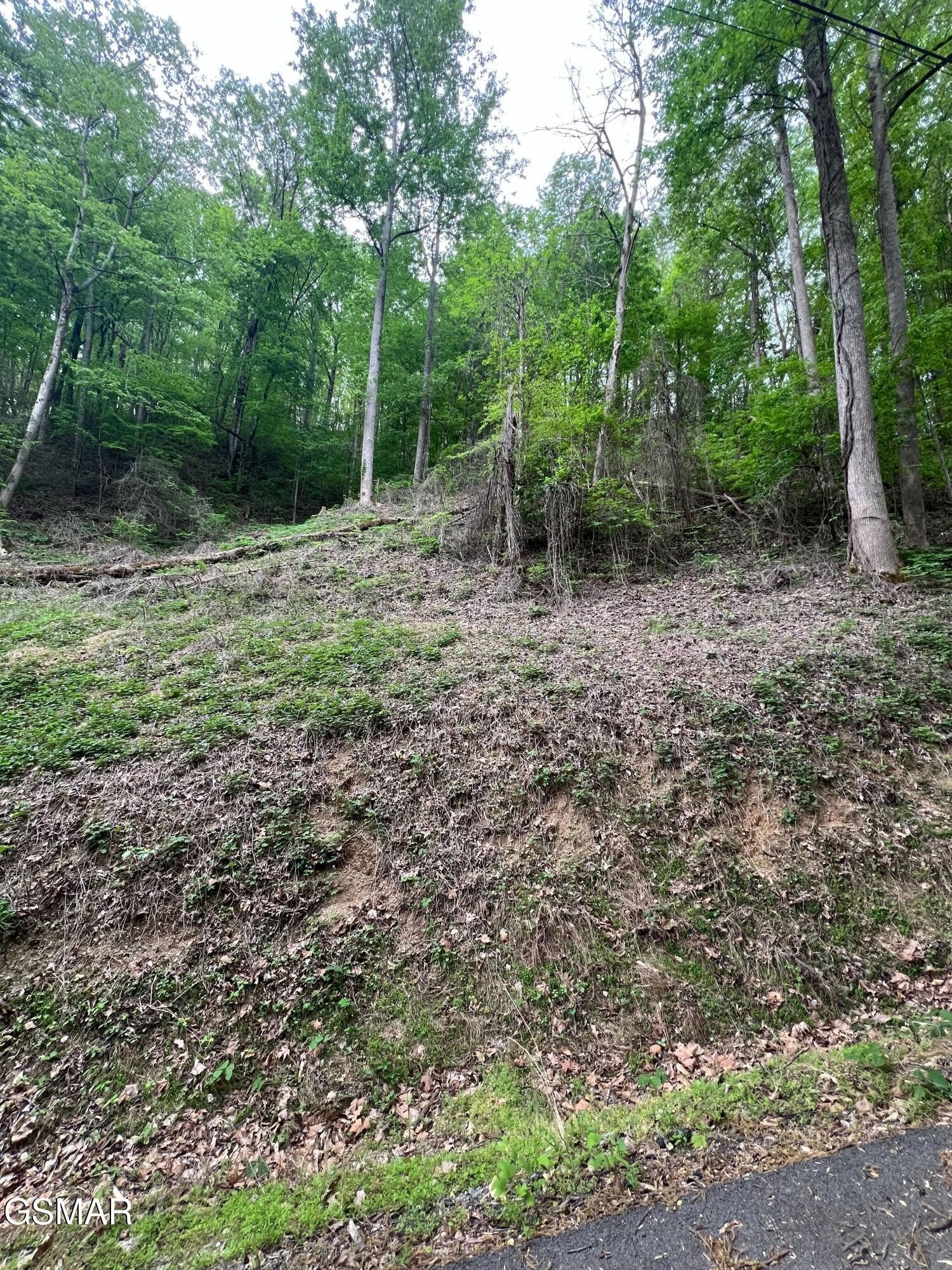 33 Black Walnut Flats Road