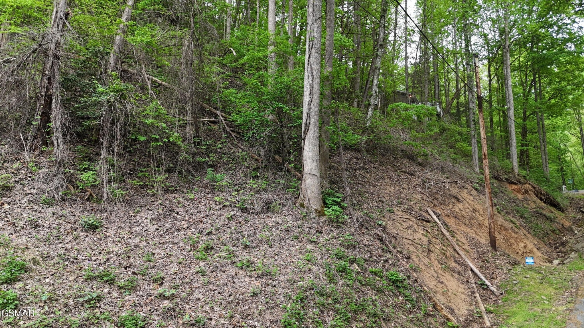 33 Black Walnut Flats Road