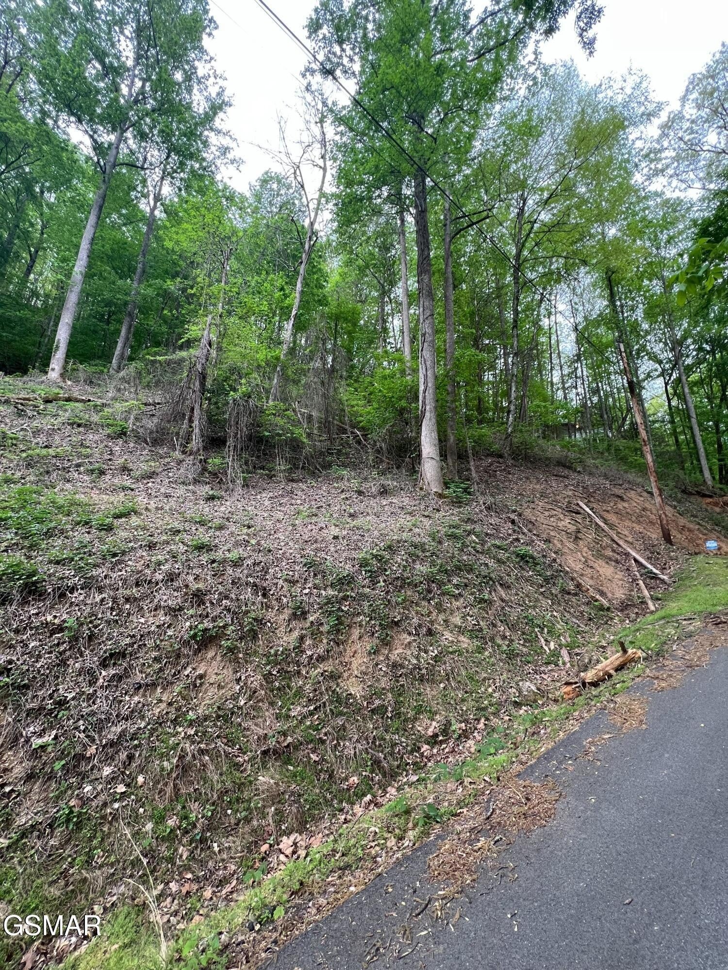 33 Black Walnut Flats Road