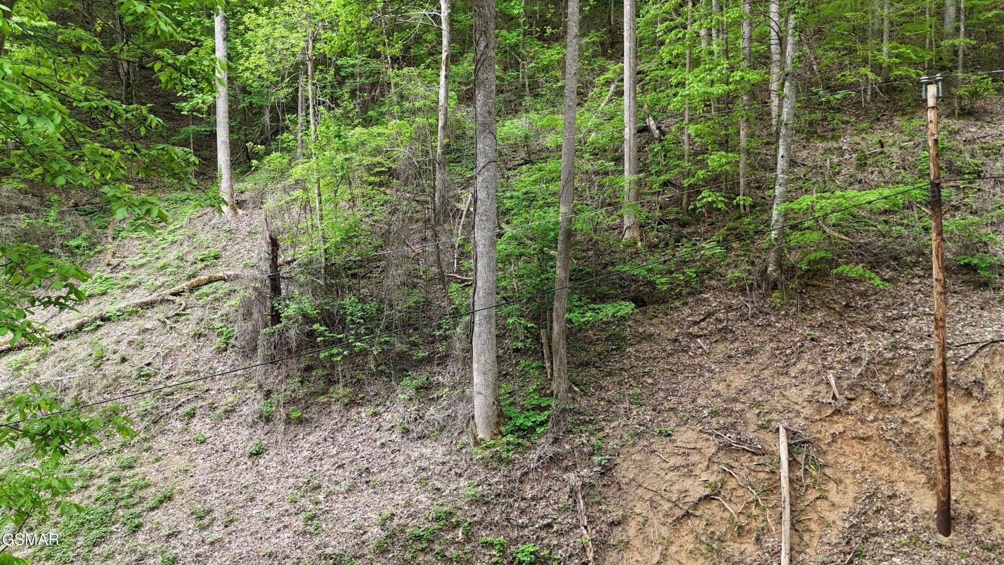 33 Black Walnut Flats Road