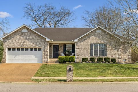 Photo of 223 Osprey Dr, Gallatin, TN 37066 (MLS # 3159205)