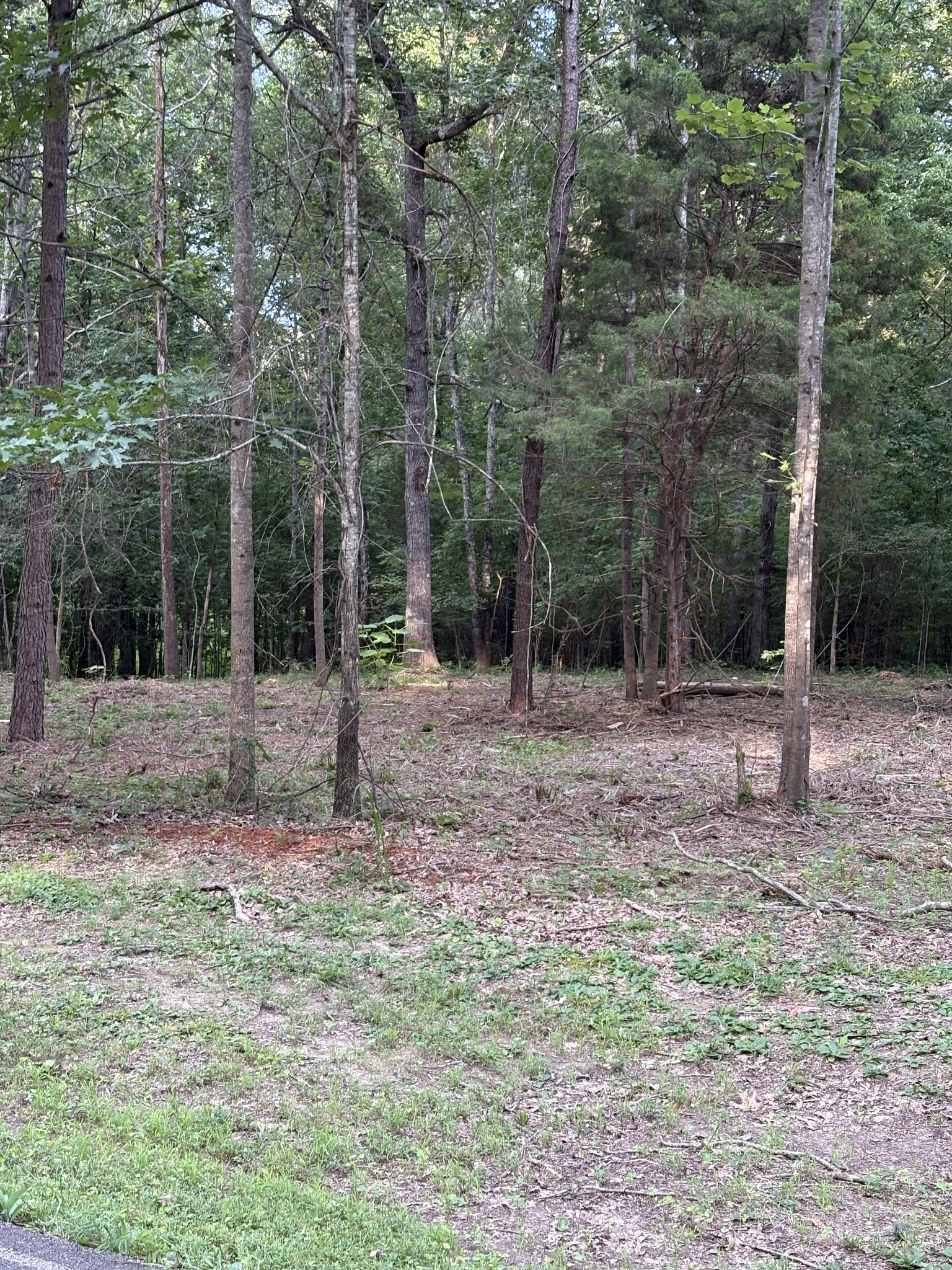 0 Iron Hill Rd