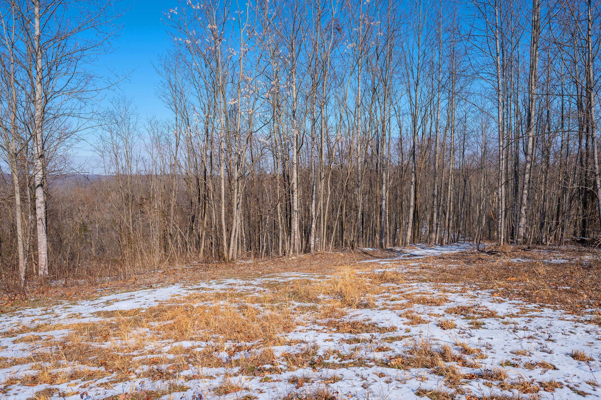 5290 Bedford Creek Rd, Franklin TN 37064 0-bed lot, photo 6 of 26