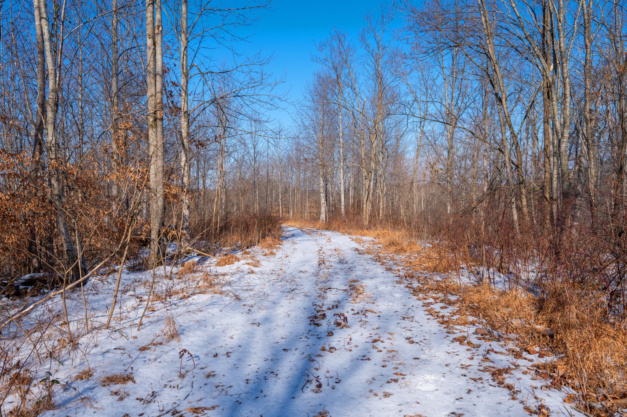 5290 Bedford Creek Rd