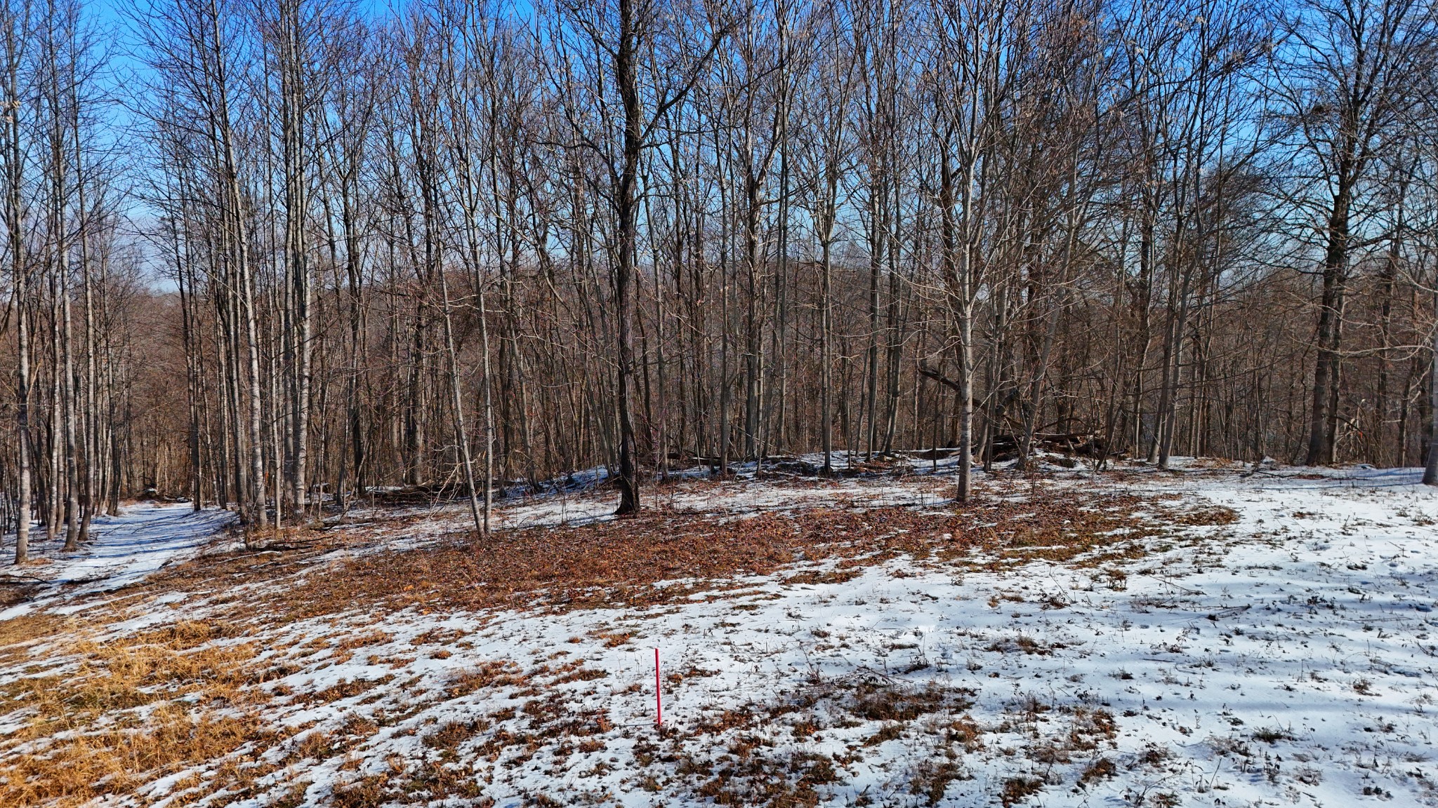 5290 Bedford Creek Rd, Franklin TN 37064 0-bed lot, photo 13 of 26